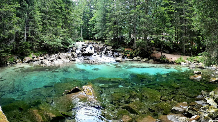 氨氮在线自动监测仪 氨氮在线自动监测仪